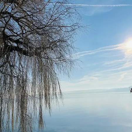 In Am Bodensee