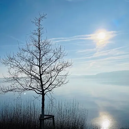 In Am Bodensee *